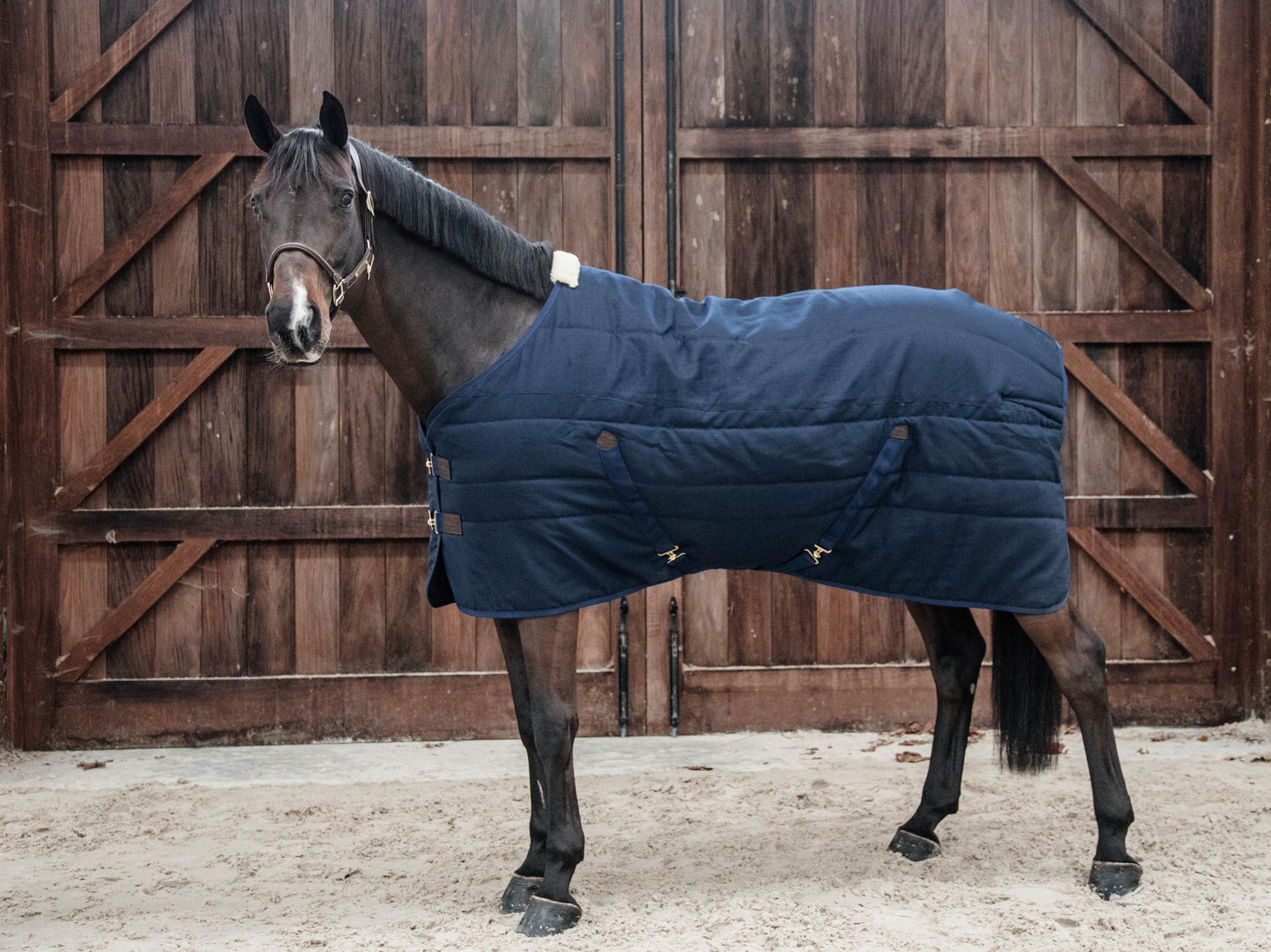 KENTUCKY Stalldecke