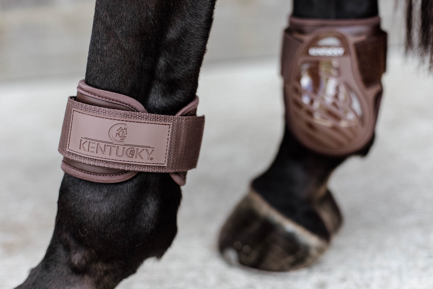 KENTUCKY Streichkappe