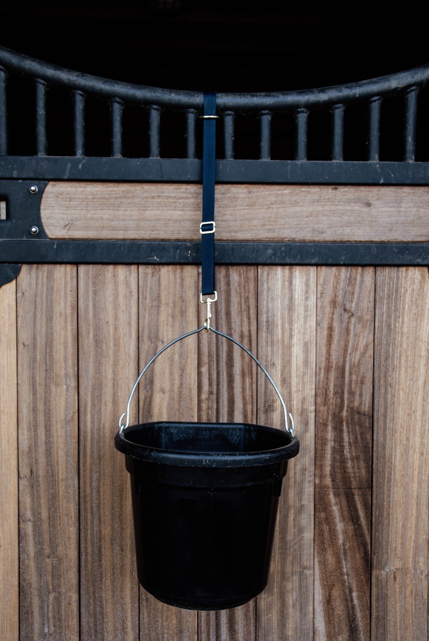 KENTUCKY Nylon Halter