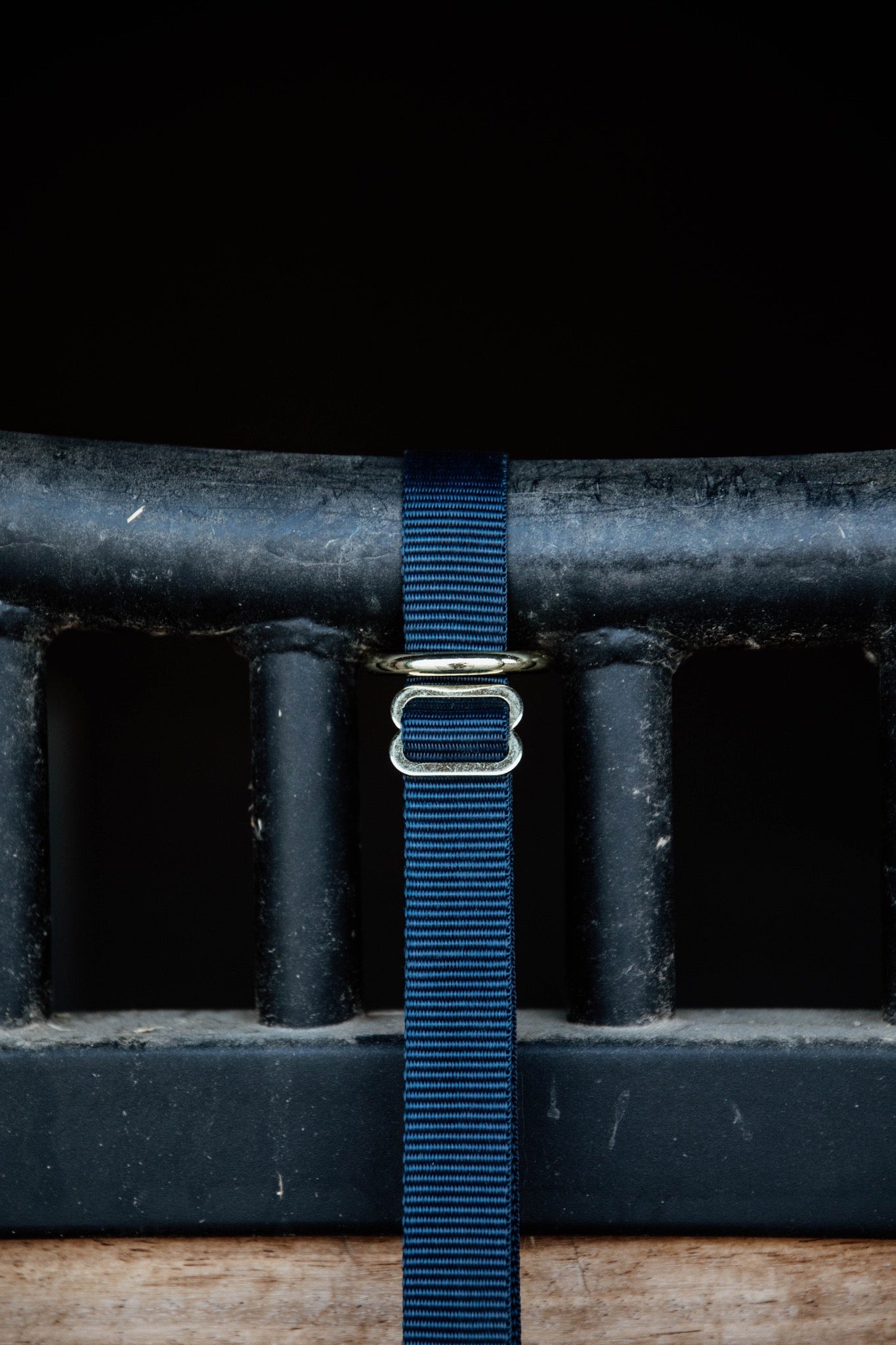 KENTUCKY Nylon Halter