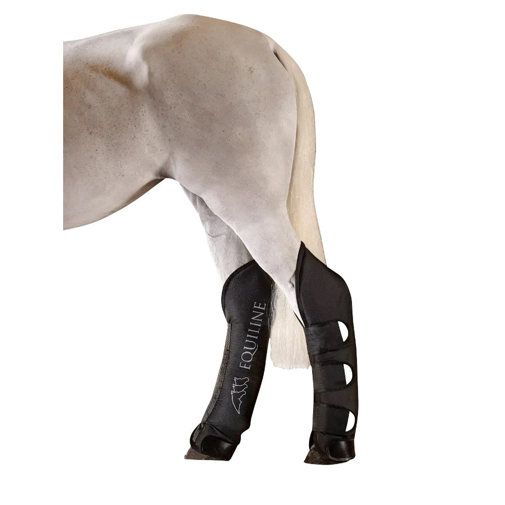 EQUILINE Transportgamaschen