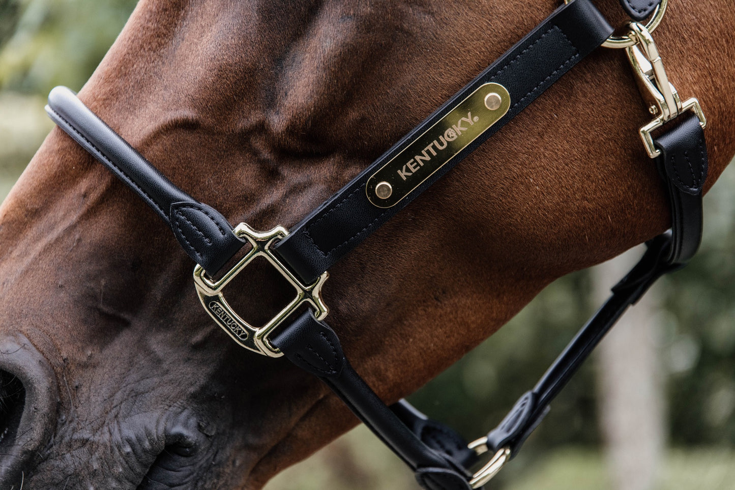 KENTUCKY Lederhalfter Anatomisch