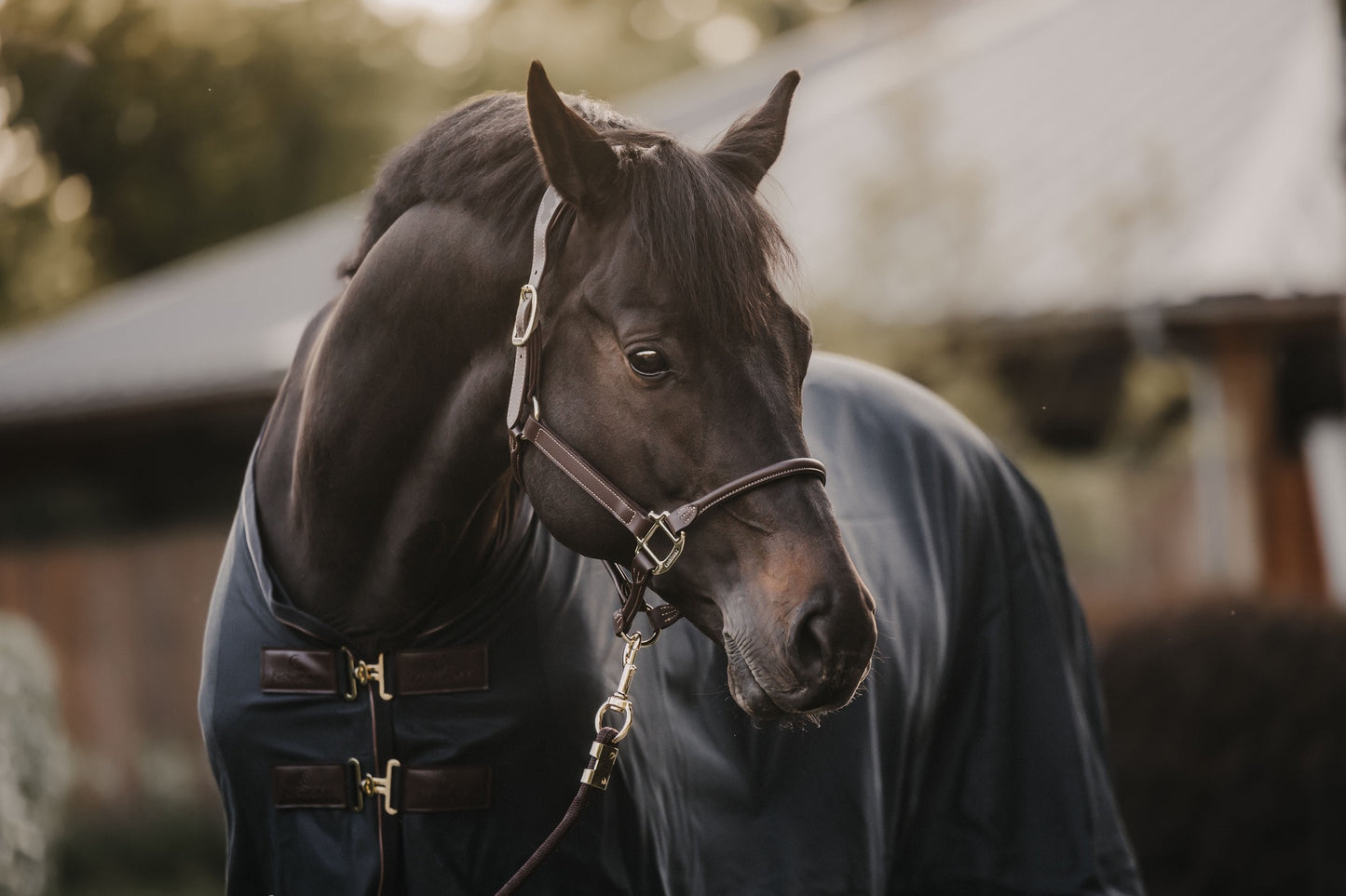 KENTUCKY Lederhalfter Anatomisch