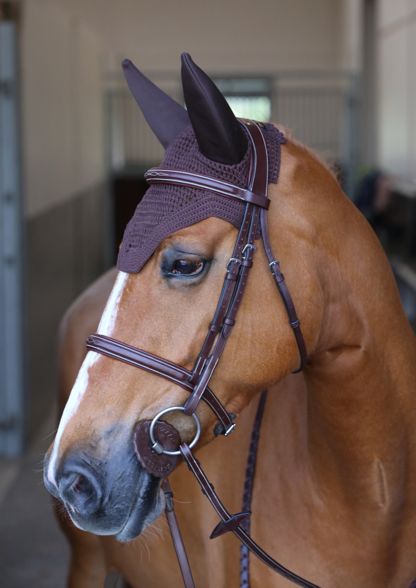 KENTUCKY Fliegenohren