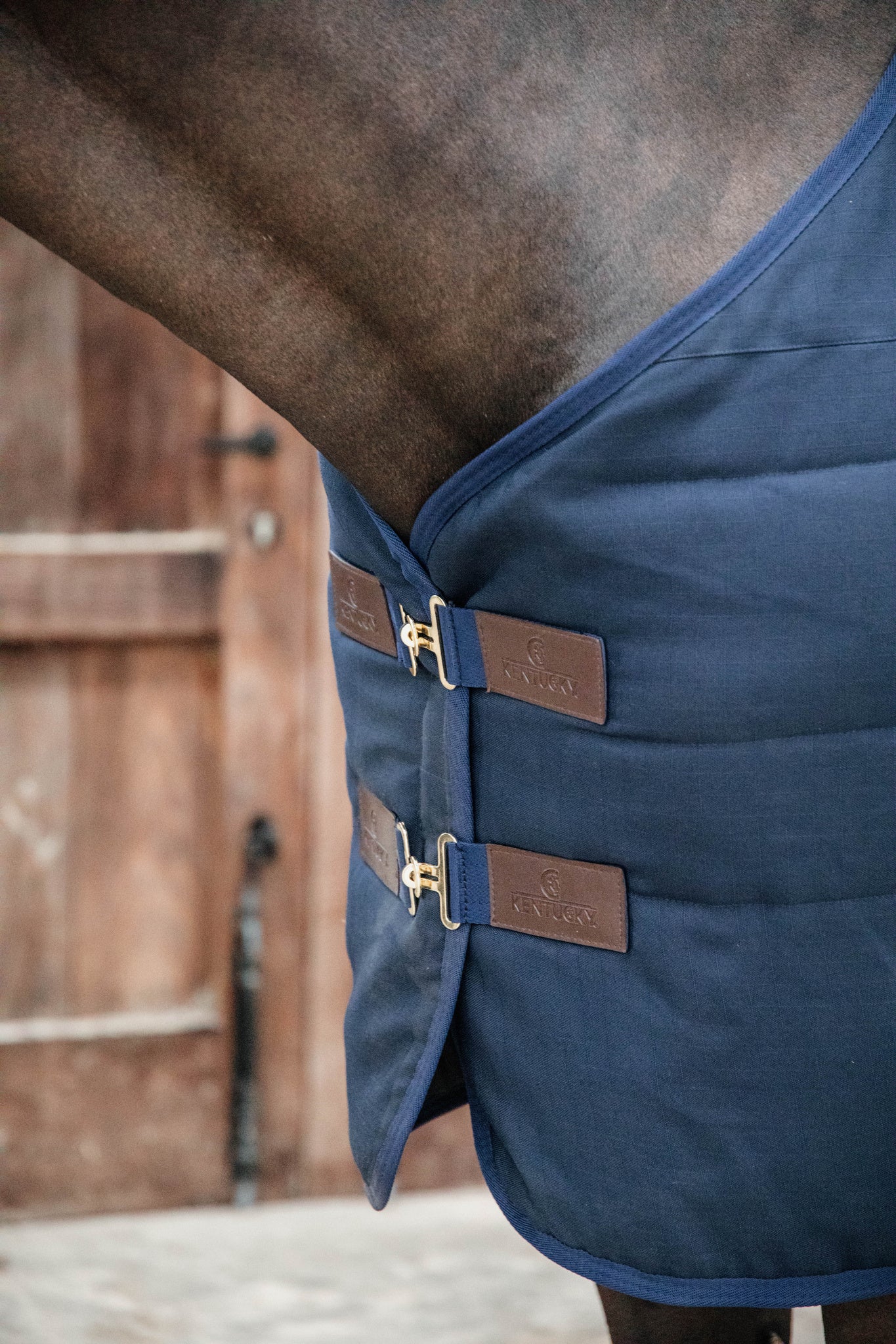 KENTUCKY Stalldecke