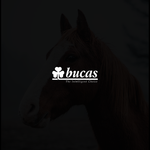 Bucas