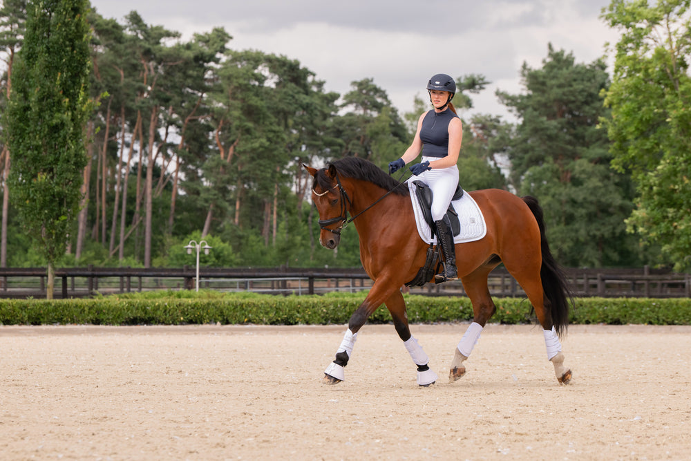 Eskadron Schabracke „Softshell Jewel“, Classic Sports 26
