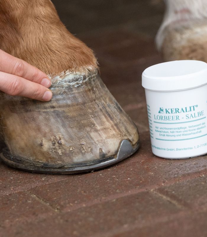 KERALIT Lorbeersalbe, 300ml