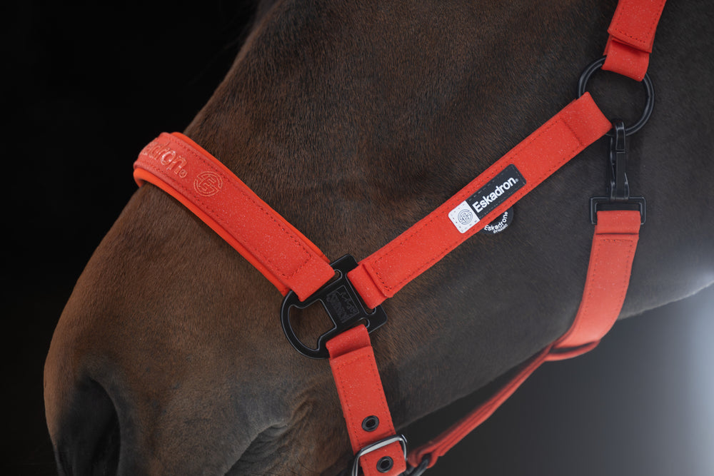 
                  
                    ESKADRON Halfter „Sparkle Double Pin“, Dynamic 25
                  
                