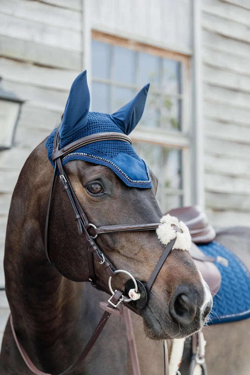 KENTUCKY Fliegenohren "Wellington Velvet Pearls"