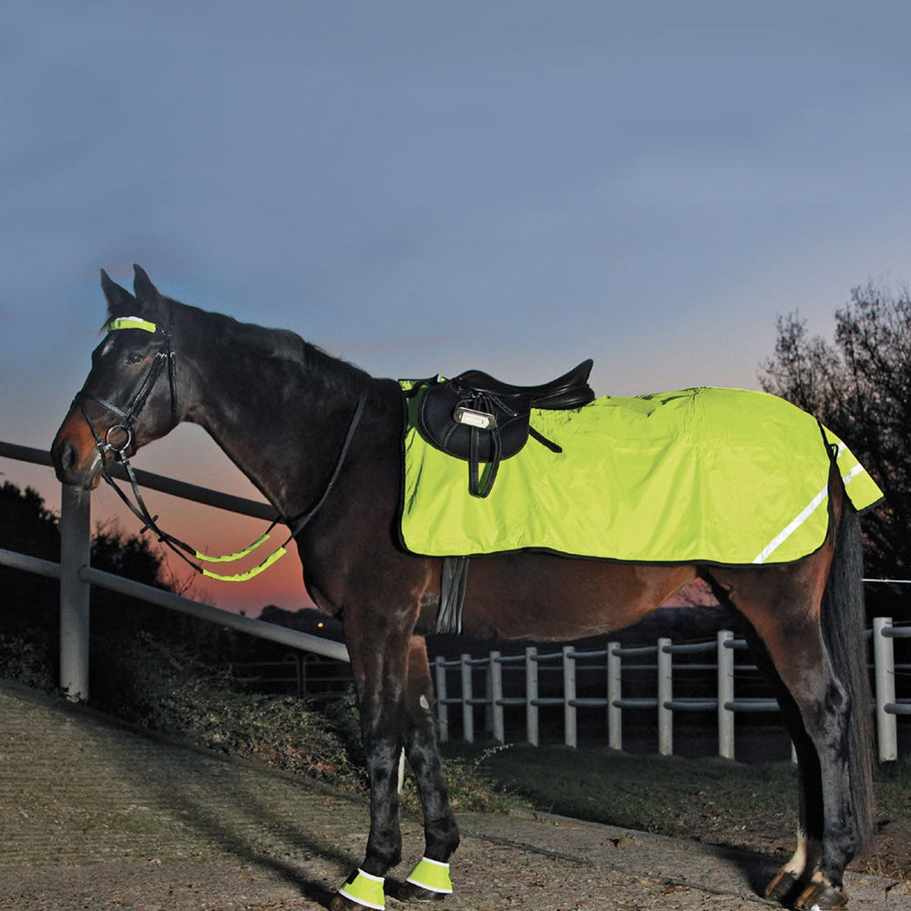 Waldhausen Reflex Nierendecke, Fleece