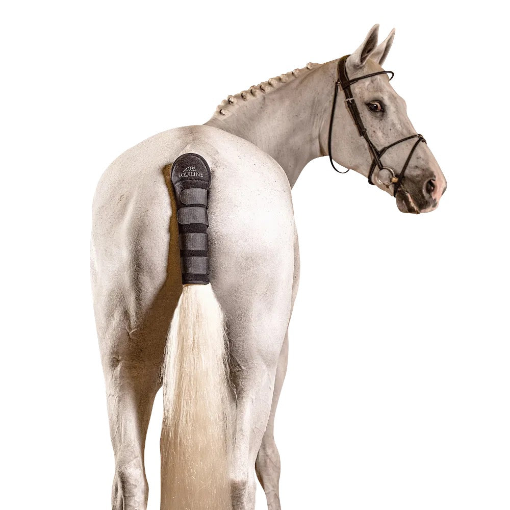 
                  
                    EQUILINE Schweifschutz "NOLL"
                  
                