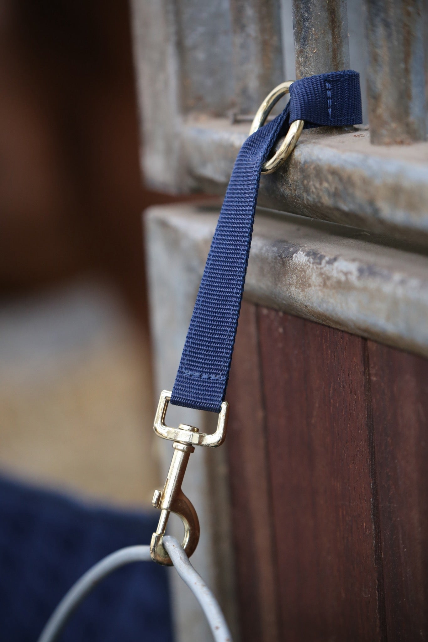 KENTUCKY Nylon Halter "Hook & Ring"