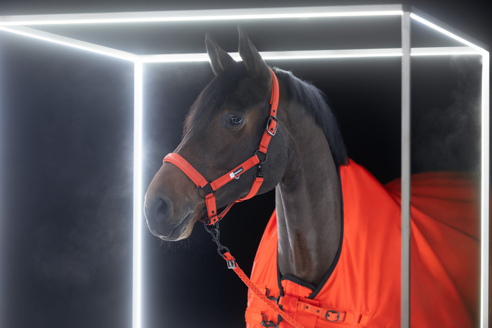 
                  
                    ESKADRON Halfter „Sparkle Double Pin“, Dynamic 25
                  
                