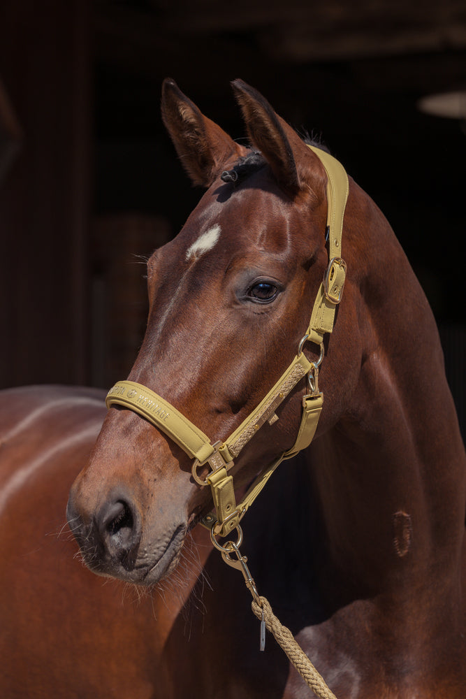 ESKADRON Halfter „Faux Leather Double Pin“, Heritage 25