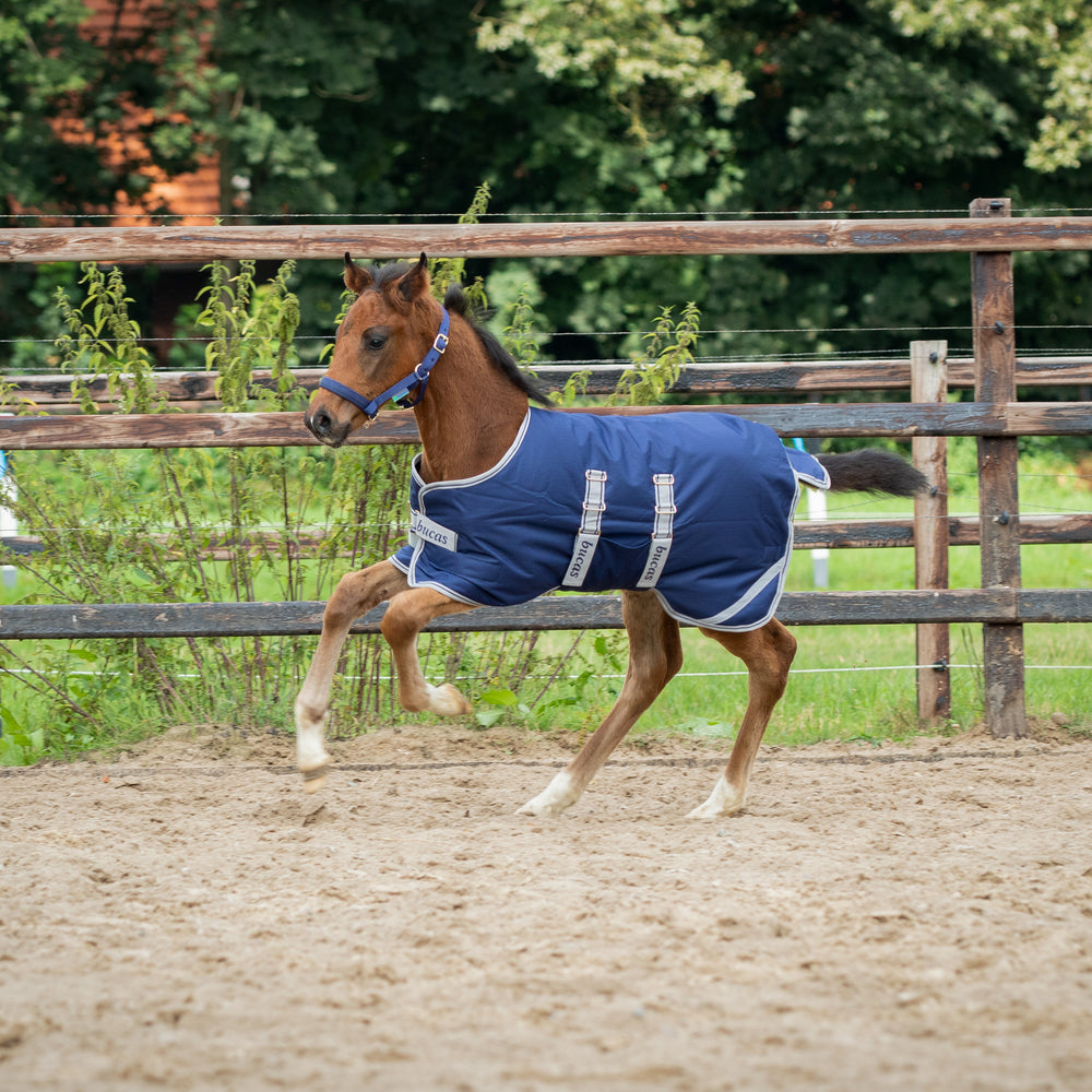 
                  
                    BUCAS Fohlendecke "Foal Turnout", 50g
                  
                