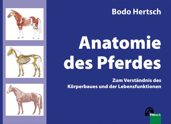 FN-Verlag „Anatomie des Pferdes“