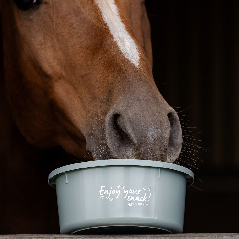 
                  
                    Waldhausen kleine Futterschale „Enjoy your Snack!“, mit Deckel
                  
                