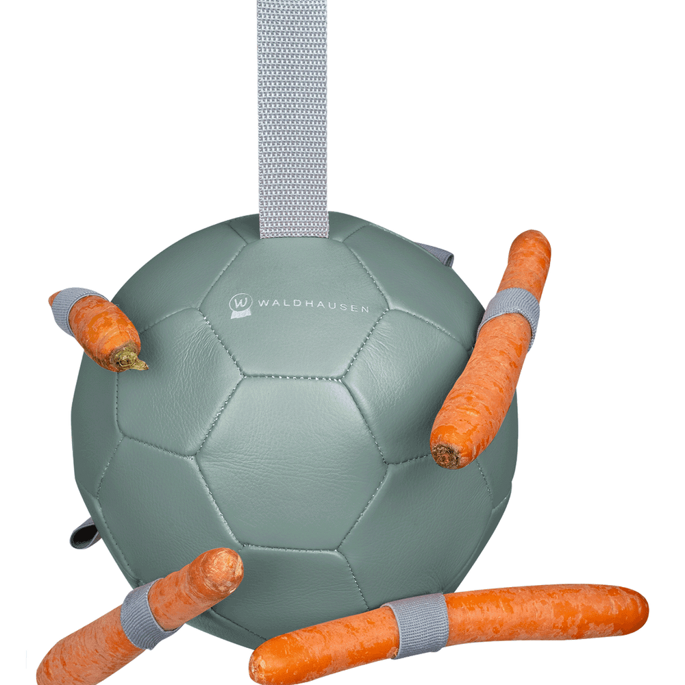 Waldhausen Karottenball