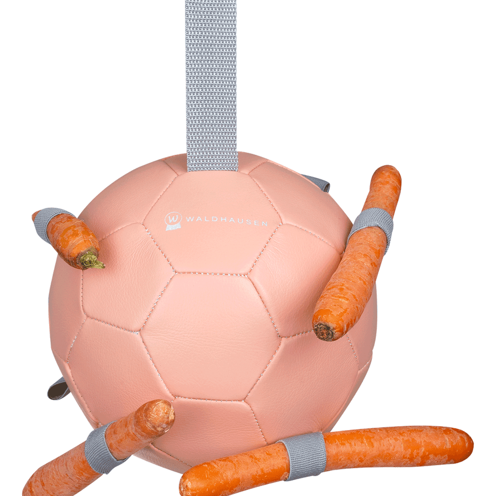 Waldhausen Karottenball