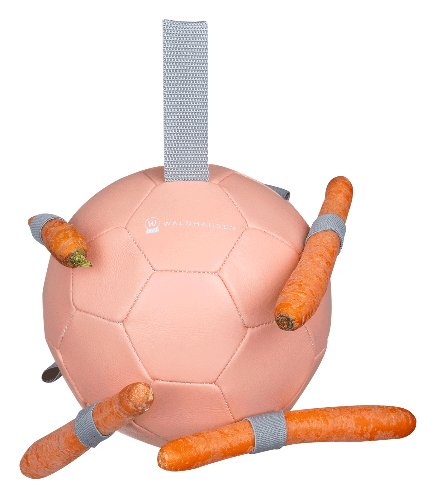 Waldhausen Karottenball