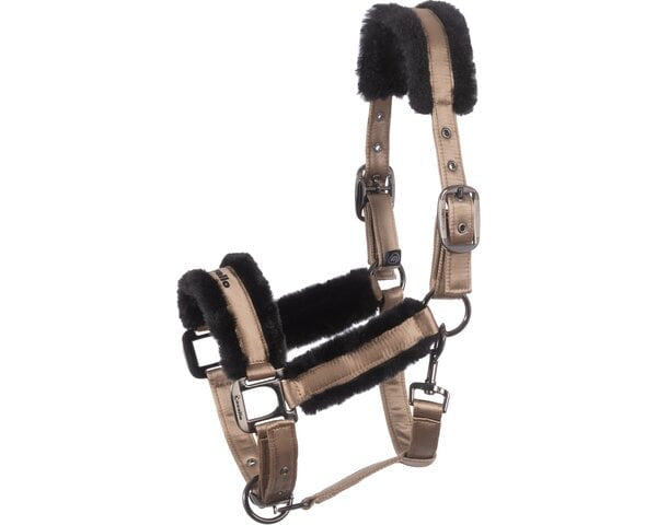Cavallo Halfter „CAVALJERO“, HW25