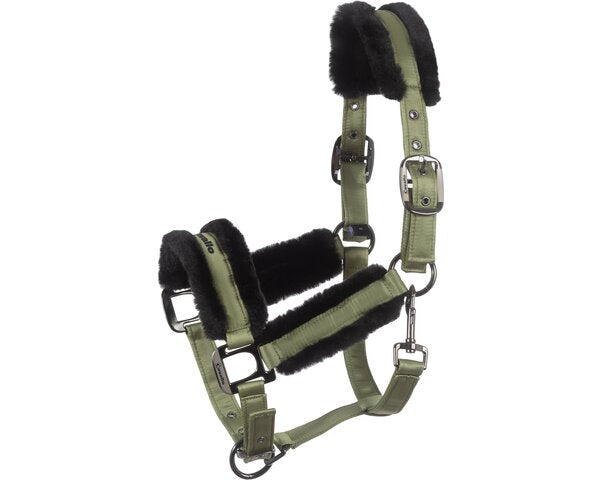 
                  
                    Cavallo Halfter „CAVALJERO“, HW25
                  
                