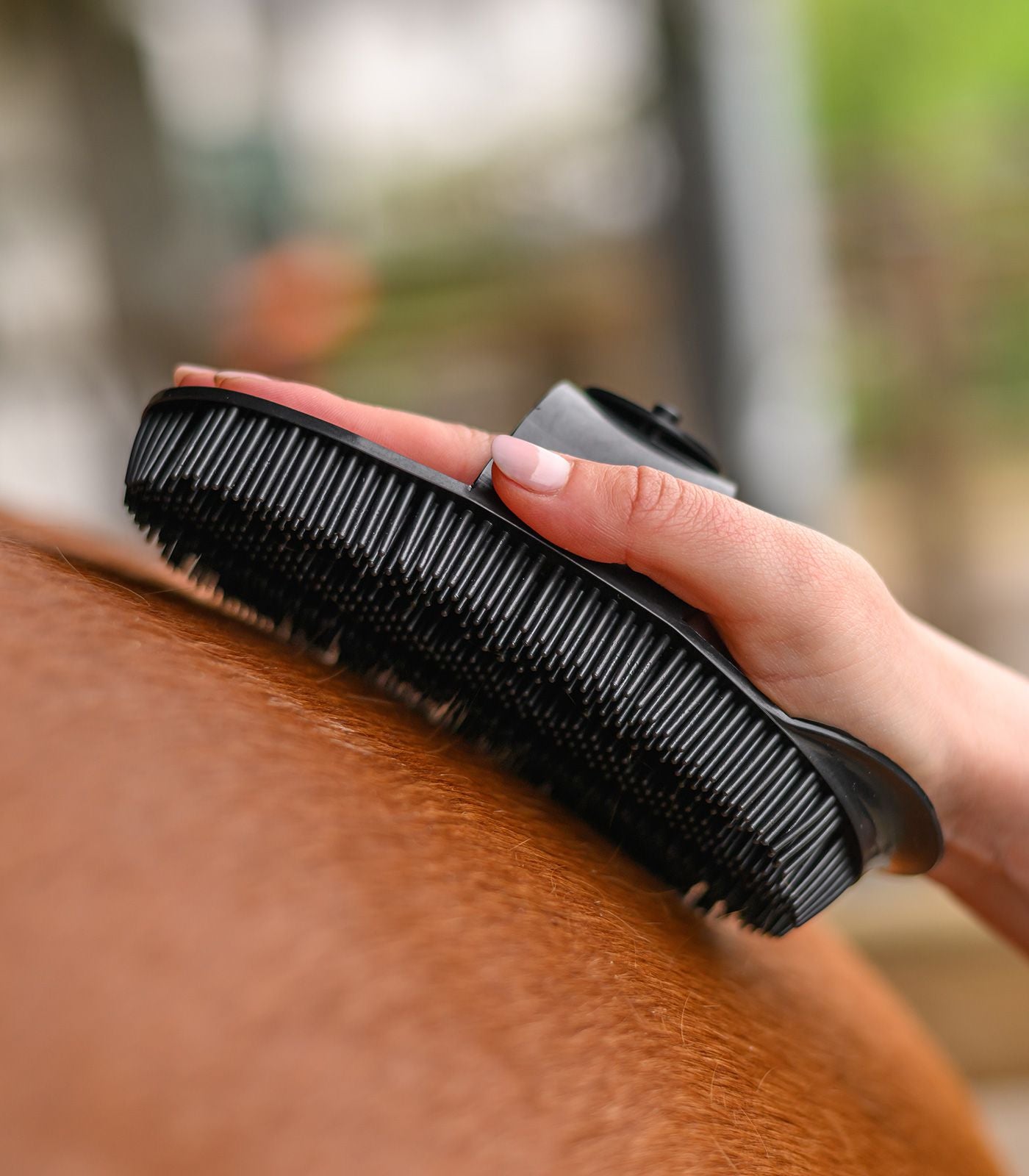 Waldhausen Nadelstriegel