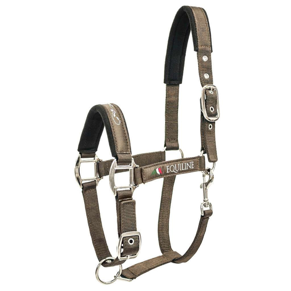 
                  
                    EQUILINE Halfter "TIMMY"
                  
                