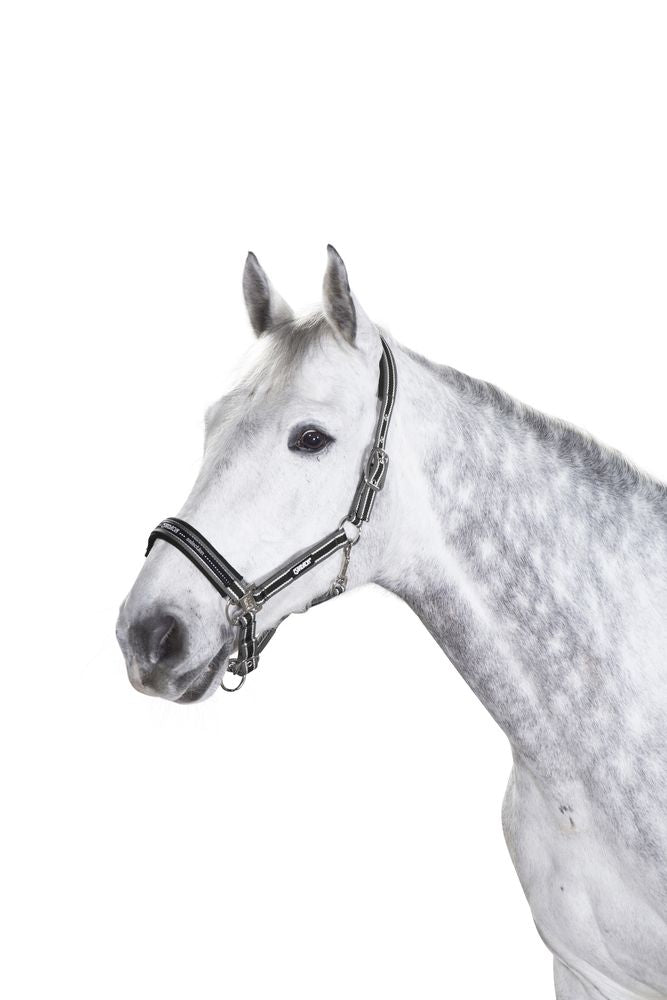 ESKADRON Halfter „Pin Buckle“