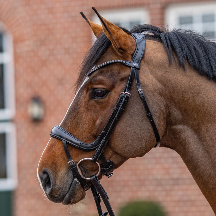 PASSIER Trense „Move“