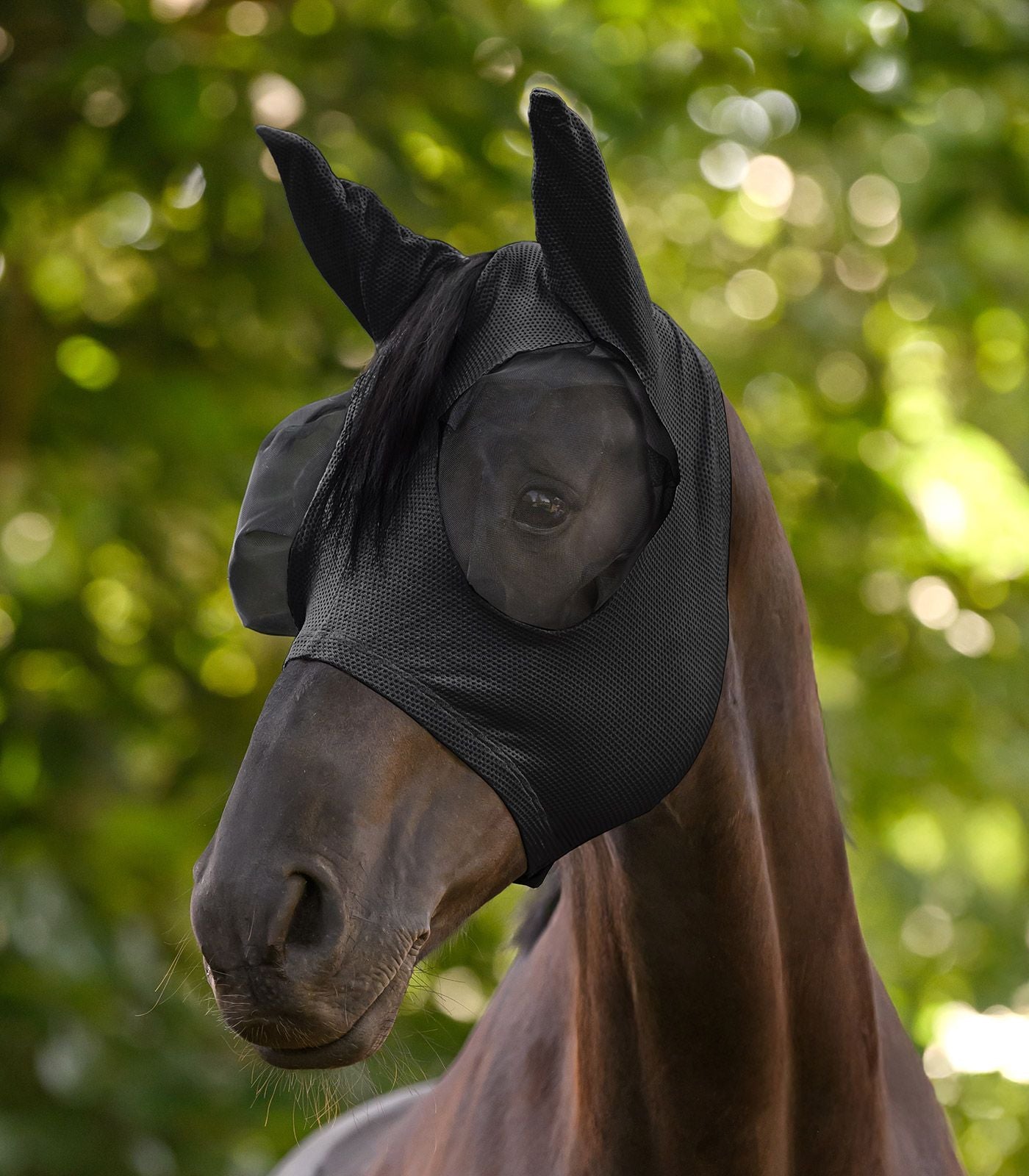 Reitsport Bergstrasse