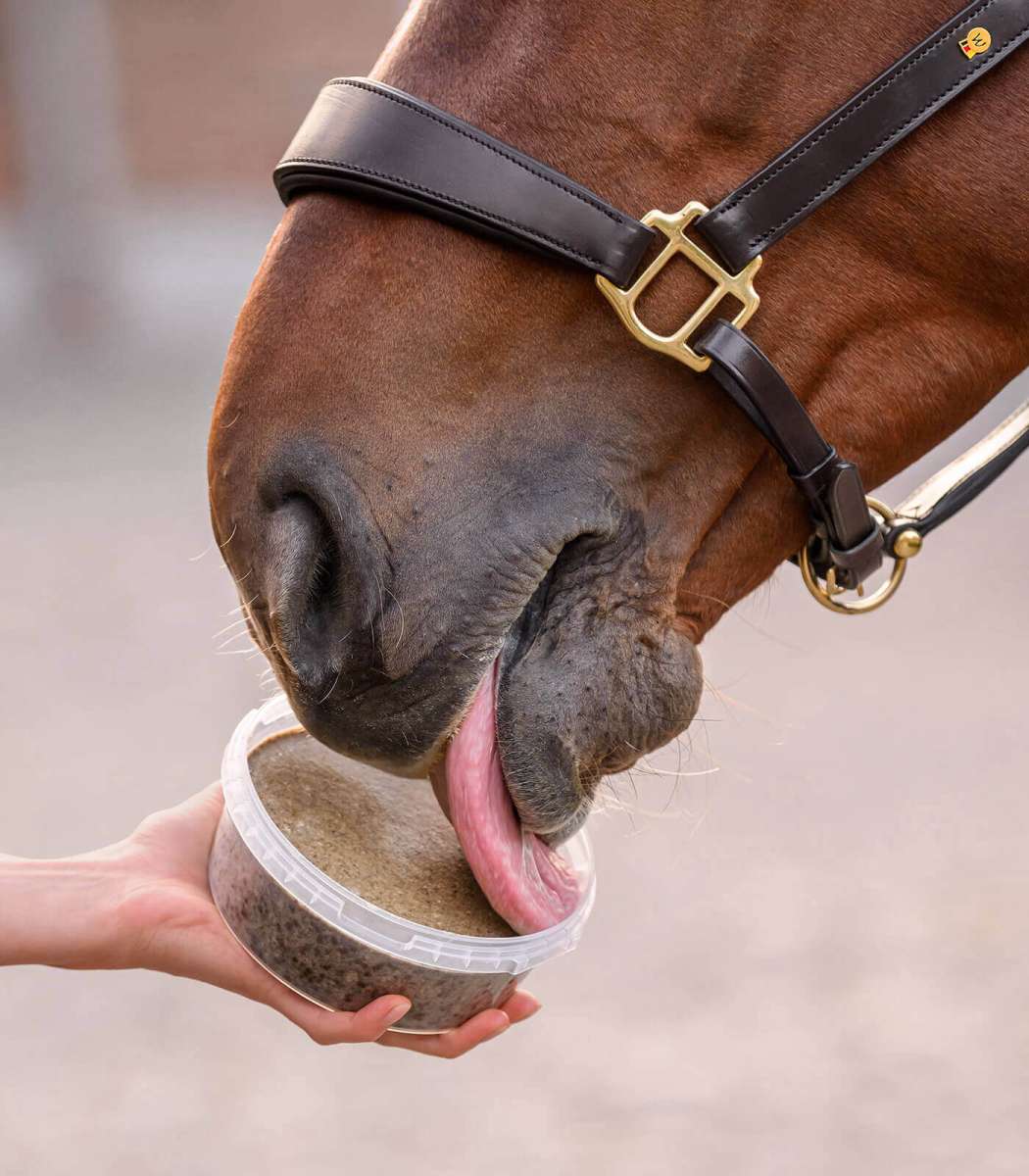 Waldhausen Leckschale „Stable Snack“
