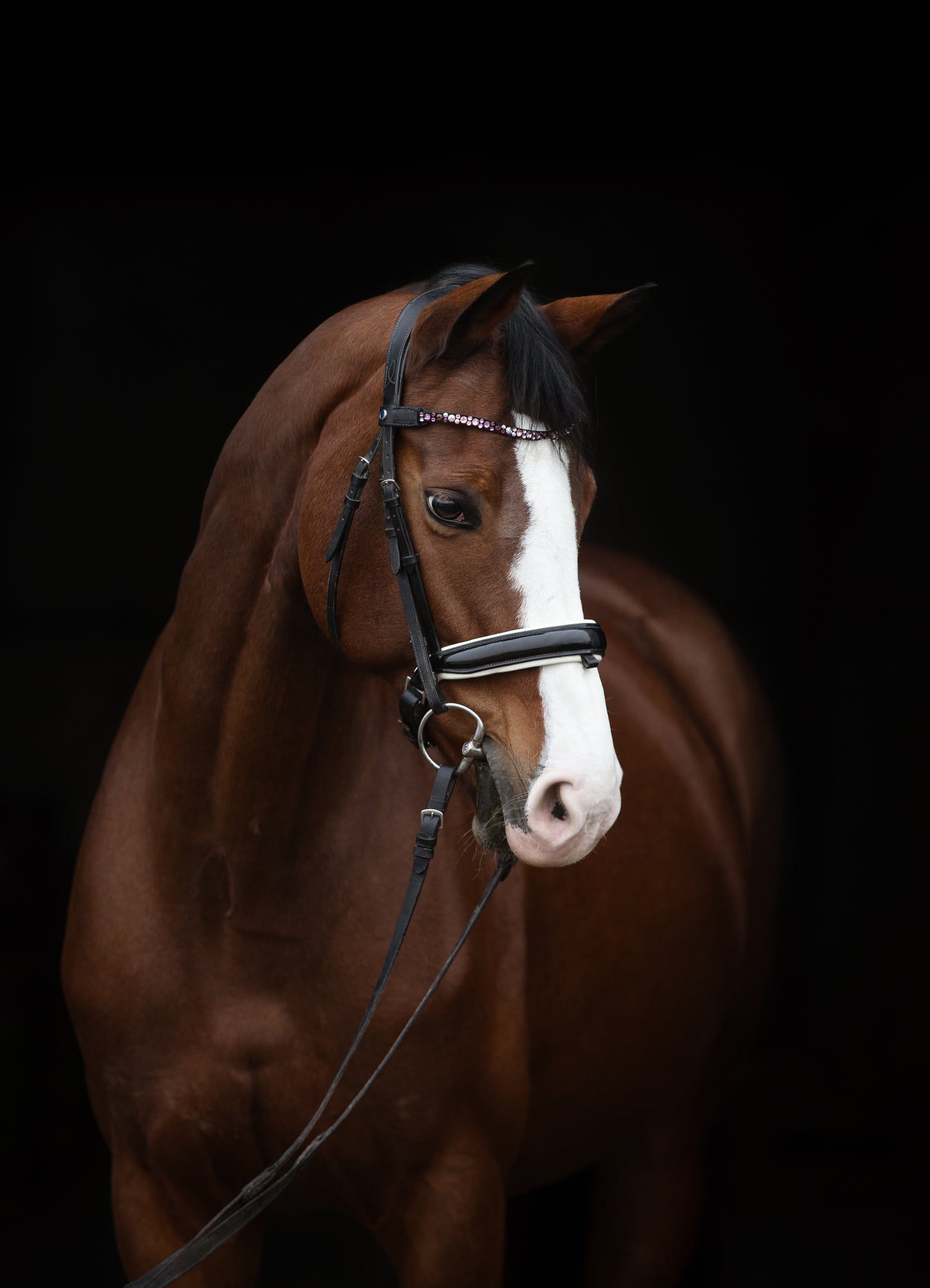 Reitsport Bergstrasse