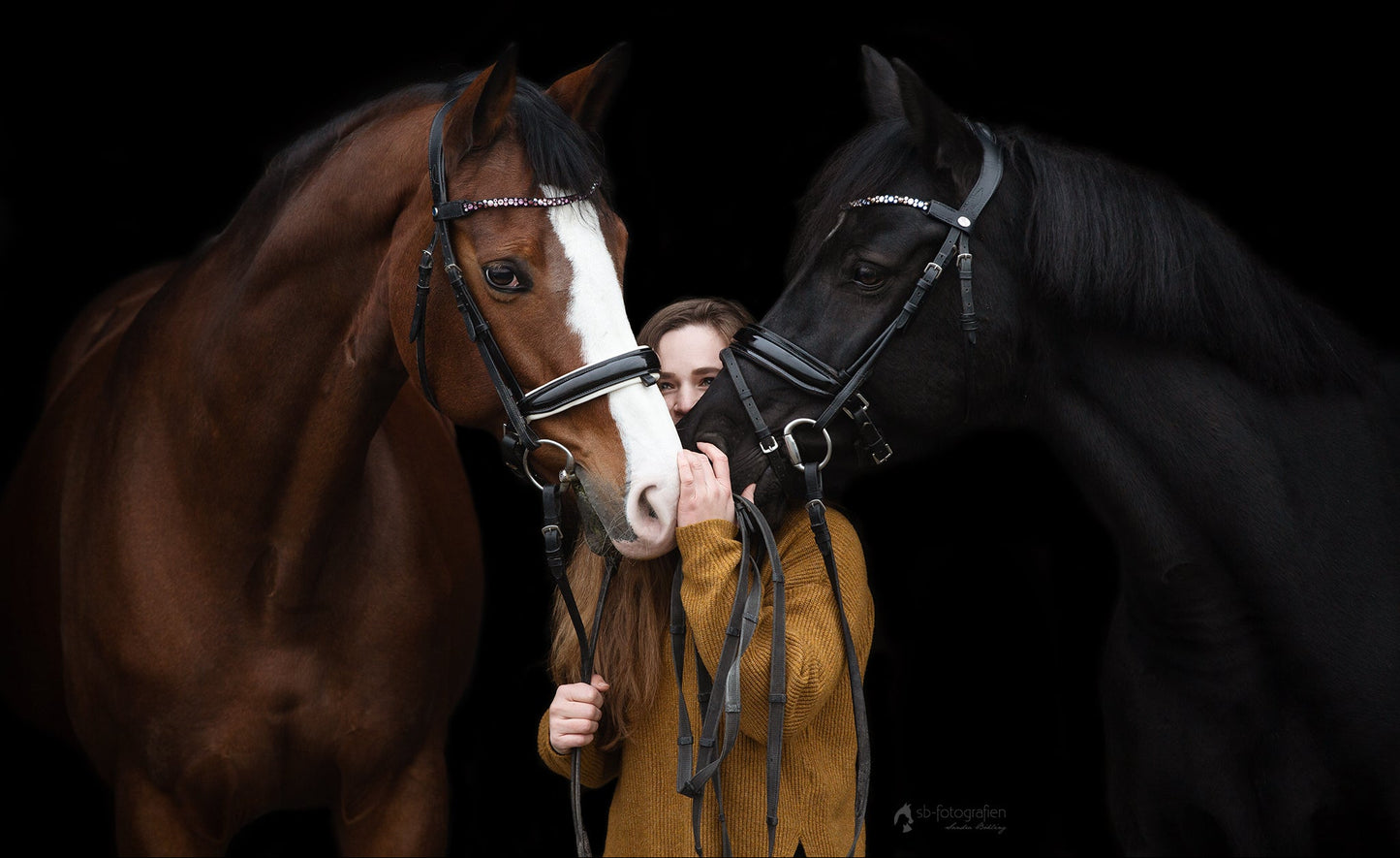 Reitsport Bergstrasse