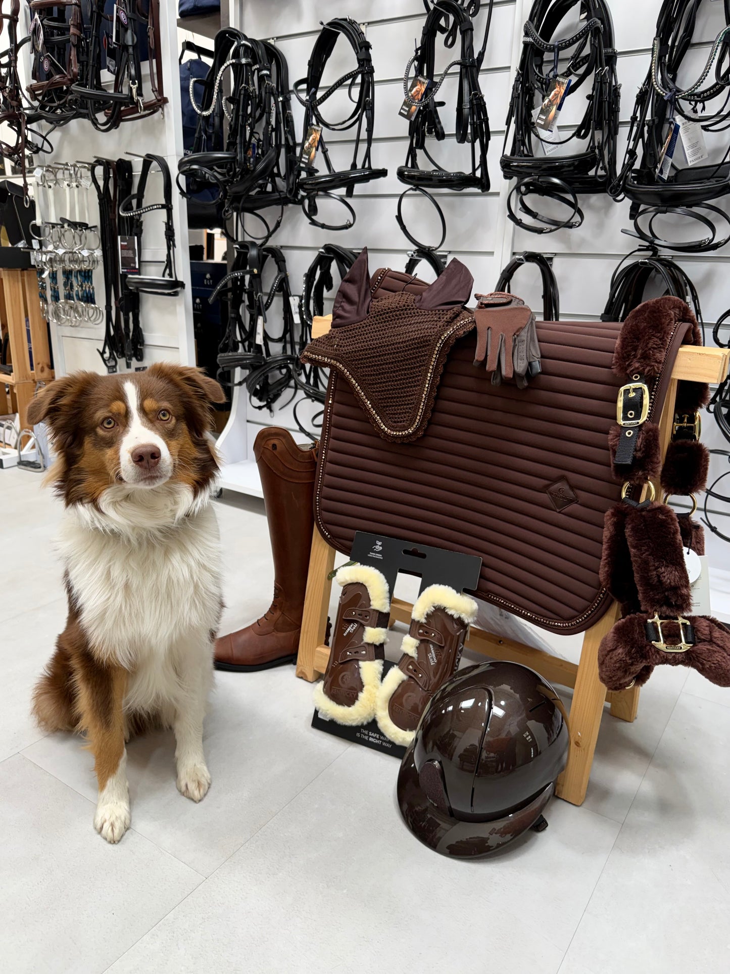 Reitsport Bergstrasse
