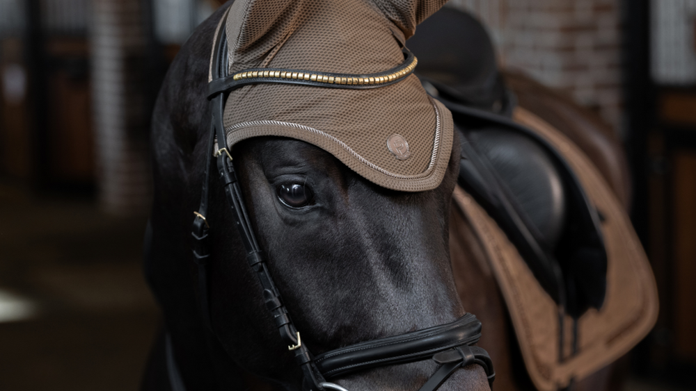 Reitsport Bergstrasse