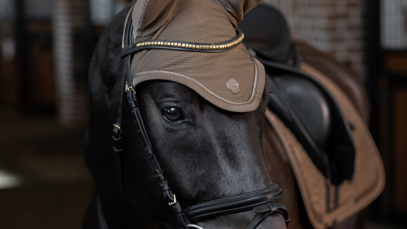 Reitsport Bergstrasse