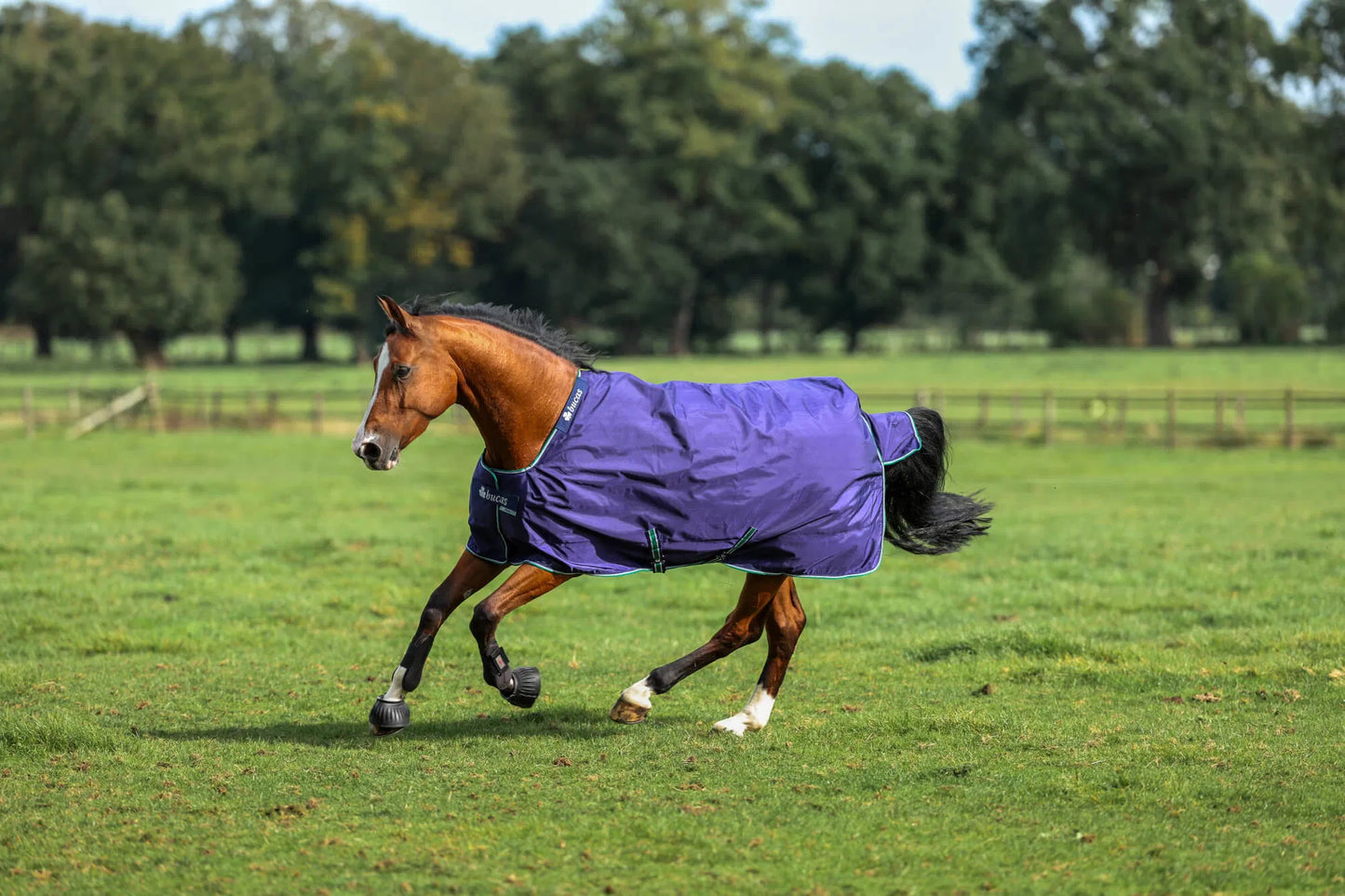 BUCAS Regendecke "Smartex Rain", 0g, Big Neck