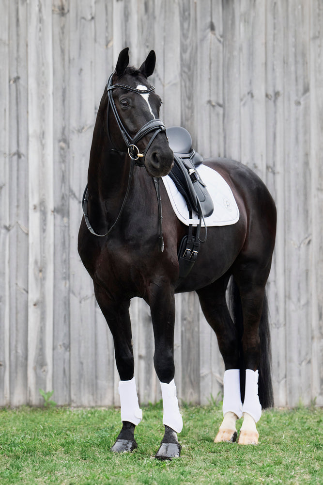 ESKADRON Schabracke „Softshell Emblem“, Platinum 24