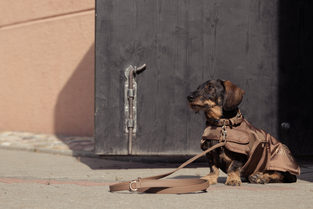 
                  
                    ESKADRON Hundemantel "Teddyfleece", Heritage 24
                  
                